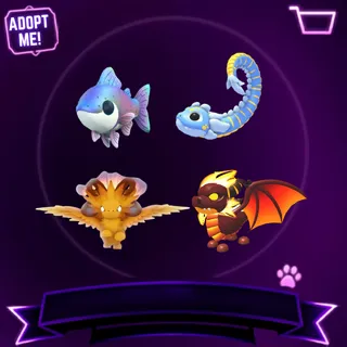 SUMMER PET BUNDLE