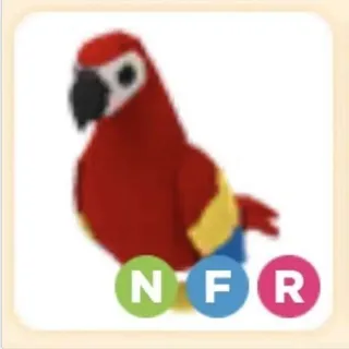 NFR PARROT