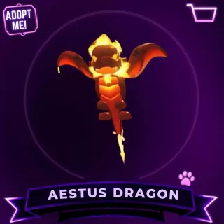 AESTUS DRAGON
