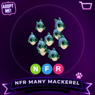NFR MANY MACKEREL