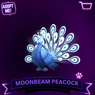 MOONBEAM PEACOCK