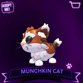 MUNCHKIN CAT