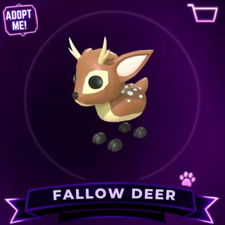 FALLOW DEER