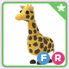 FR GIRAFFE