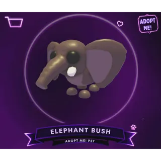 ELEPHANT BUSH