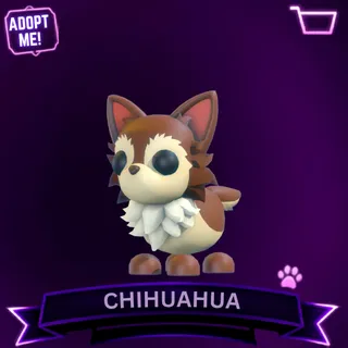 16x CHIHUAHUA