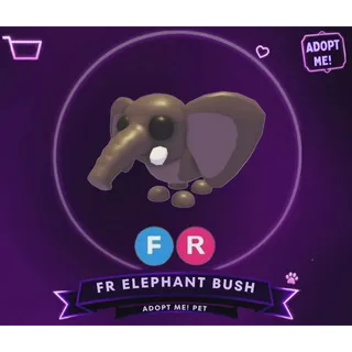 FR ELEPHANT BUSH