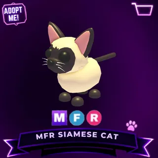 MFR SIAMESE CAT