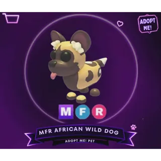 MFR AFRICAN WILD DOG