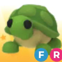 FR TURTLE