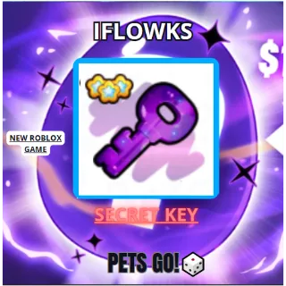 10X SECRET KEY PETS GO