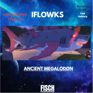 10x ANCIENT MEGALODON| FISCH