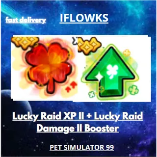25x Lucky Raid XP II + Lucky Raid Damage II Booster
