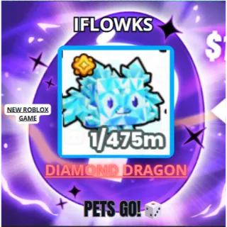 DIAMOND DRAGON PETS GO