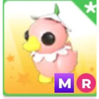 MR FLOWER POWER DUCKLING