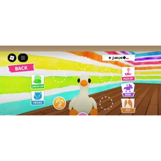 R GOOSE