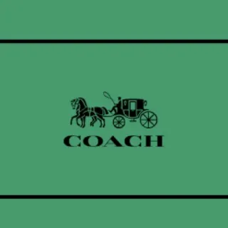 $92,23 Coach Outlet Usa O