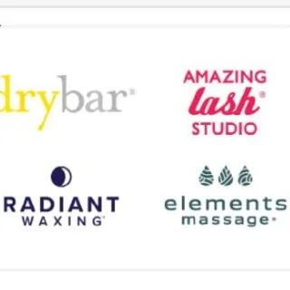 $250,00 WellBiz Brands Usa B