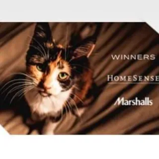 $25,00 Winners Canada A