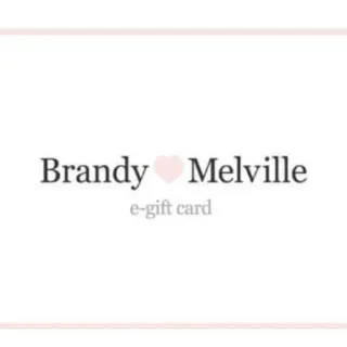 $39,28 Brandy Melville Usa B