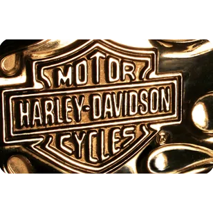 $100.00 USD harley davidson