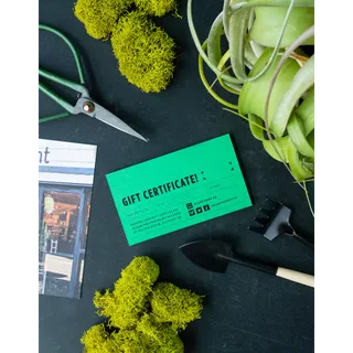 $100.00 CAD plantshop.ca