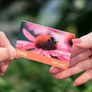 £25,00 RHS Great Britain A