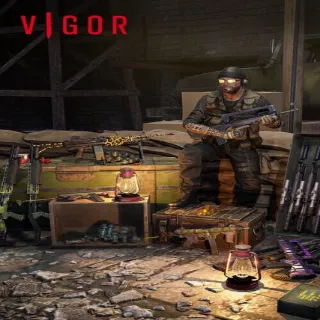 Vigor: Battle-Hardened Merc