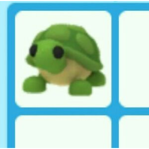 Turtle In Adopt Me Roblox