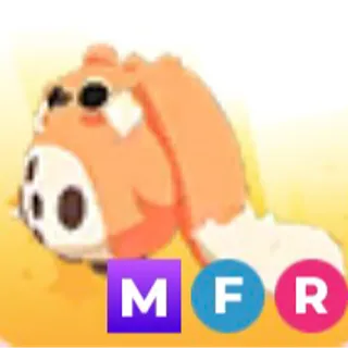 MFR Cabbit