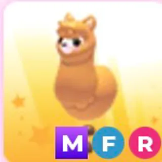 MFR Alpaca