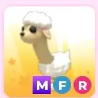 MFR sheep