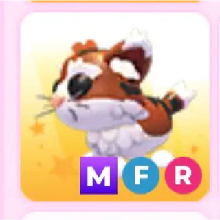 MFR Munchkin Cat