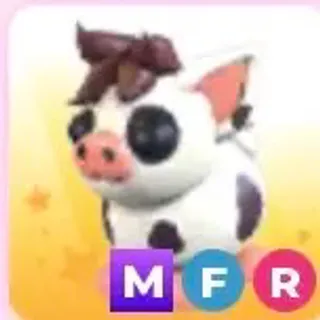 MFR mini pig