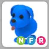 NFR blue dog