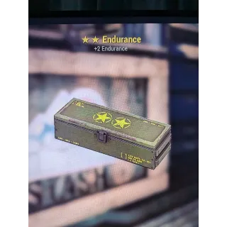 ** endurance 5 mods with 10 free bobblehead small guns 