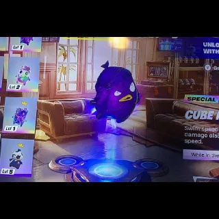 Box Combo