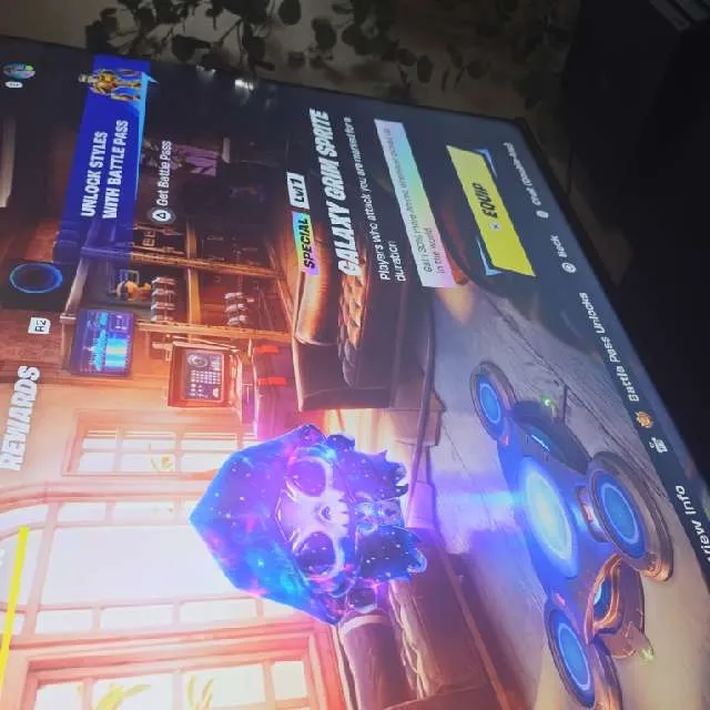 出品写真
