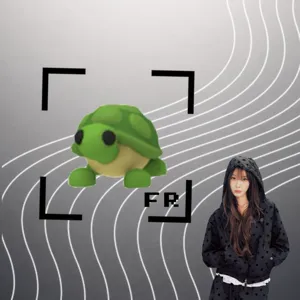FR TURTLE