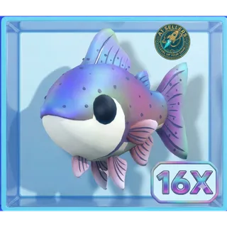 16X Rainbow Trout