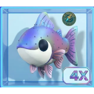 4X Rainbow Trout