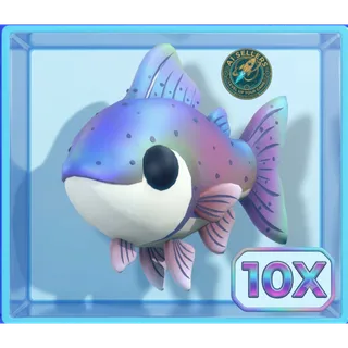 10X Rainbow Trout