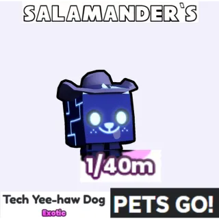 Tech Yee-haw Dog Pets Go