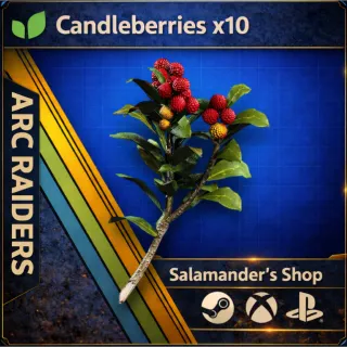 Candleberries ARC Raiders