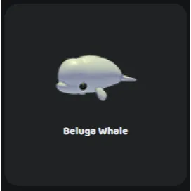 16x Beluga Whale