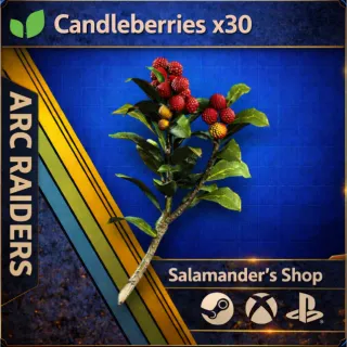 Candleberries x30