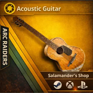 Acoustic Guitar ARC Raiders