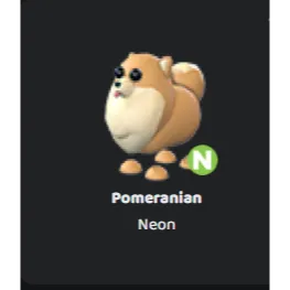 Pet | Pomeranian Neon