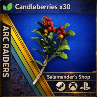 Candleberries x30