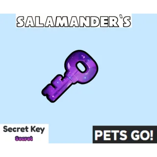 100x Secret Key Pets Go